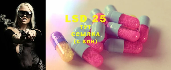 ГАЛЛЮЦИНОГЕННЫЕ ГРИБЫ Алексин