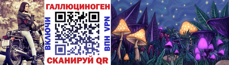 МЕГА ТОР  Черепаново  Псилоцибиновые грибы Cubensis 